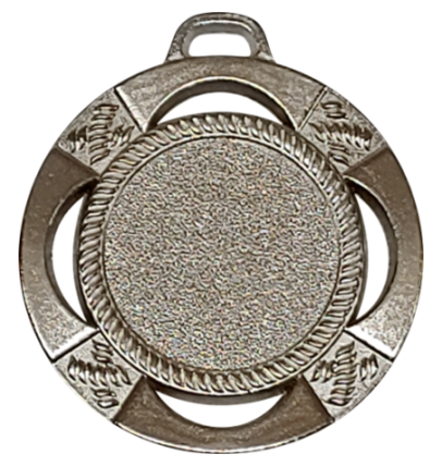 Z273 medal 45mm srebro