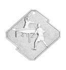 Q15/S medal srebro tenis stołowy seria Rombo