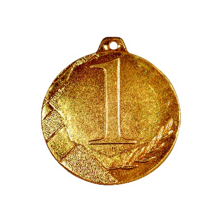 Medal K1 GT20