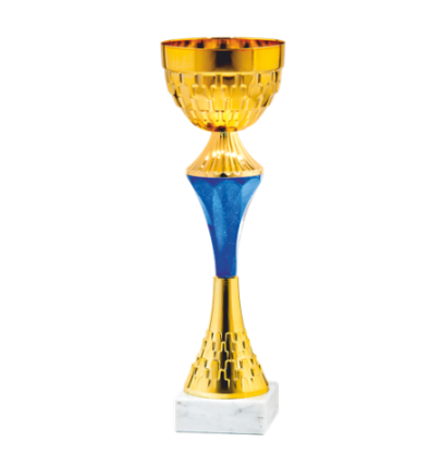 24357/D puchar 30cm/cz.100/