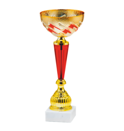 24501/A puchar 30cm/cz.120/