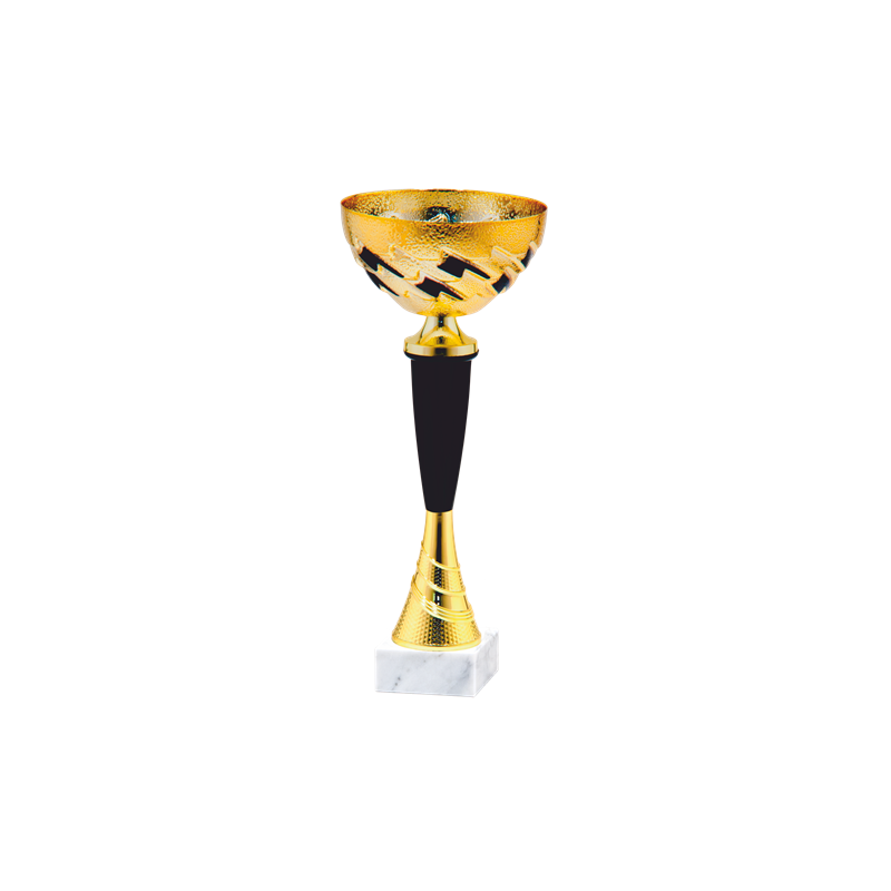 24503/B puchar 30cm/cz.100/