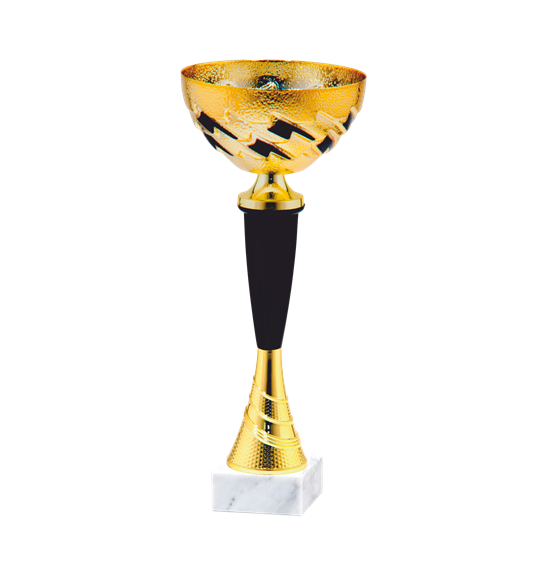 24503/B puchar 30cm/cz.100/