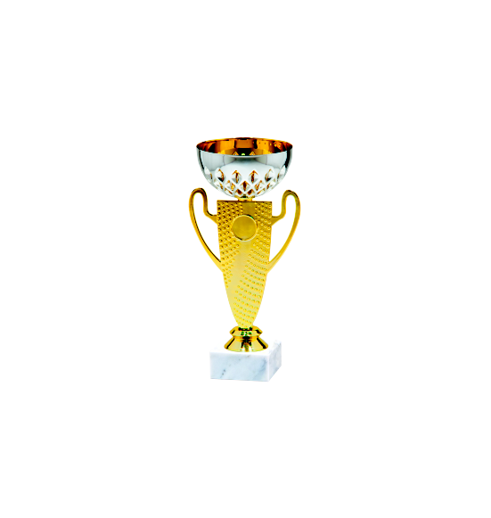 24553/B puchar 24cm/cz.100/