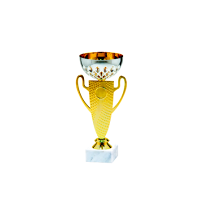 24553/C puchar 21cm/cz.80/