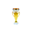 24553/C puchar 21cm/cz.80/