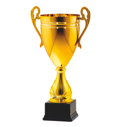 25114/B puchar 50cm /cz.180/