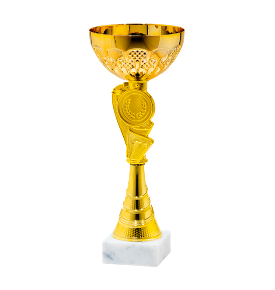 25535/B puchar 25cm /cz.100/