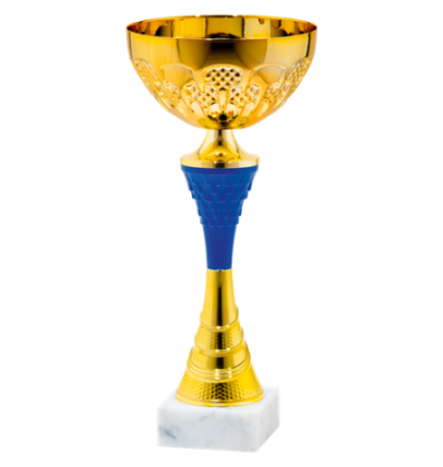 25543/B puchar 32cm /cz.120/