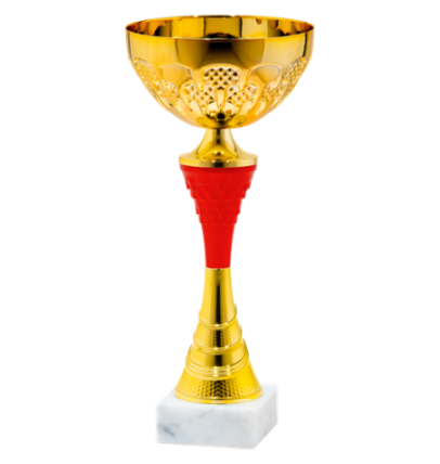 25545/A puchar 34cm /cz.140/
