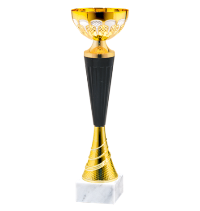 25565/A puchar 31cm /cz.120/