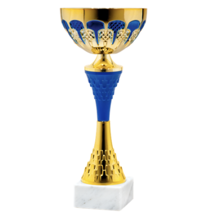25581/D puchar 26cm /cz.100/