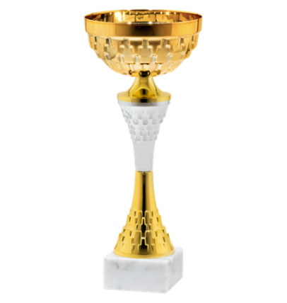 25519/A puchar 33cm /cz.140/