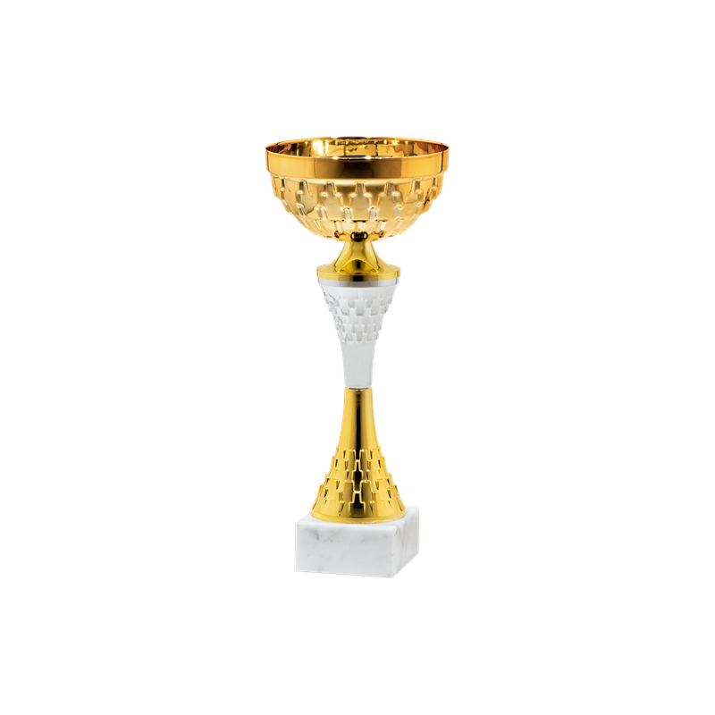 25519/C puchar 28cm /cz.100/