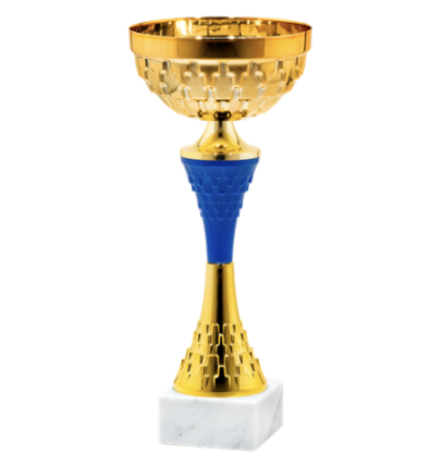25523/D puchar 26cm /cz.100/