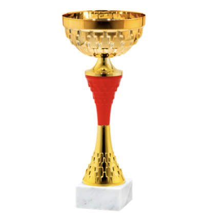 25525/B puchar 31cm /cz.120/