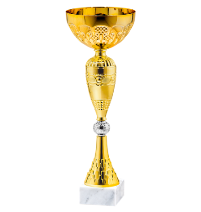 25533/B puchar 36cm /cz.120/