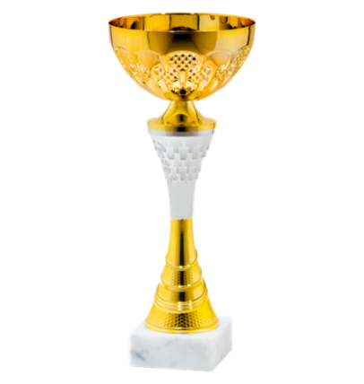 25539/B puchar 32cm /cz.120/