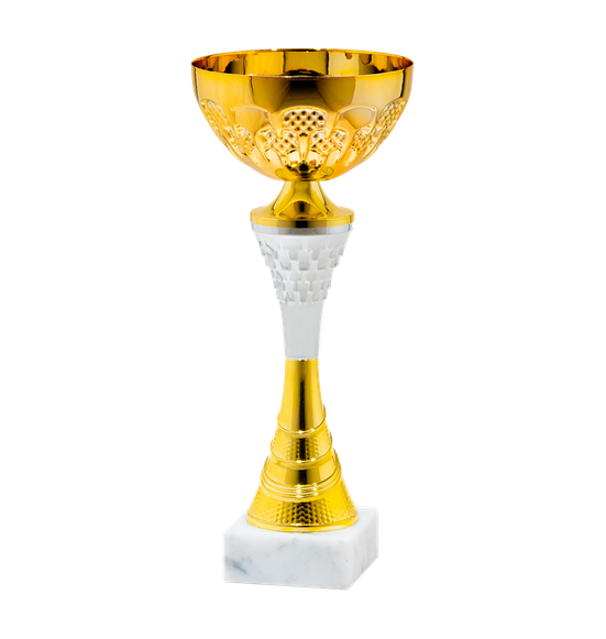 25539/B puchar 32cm /cz.120/