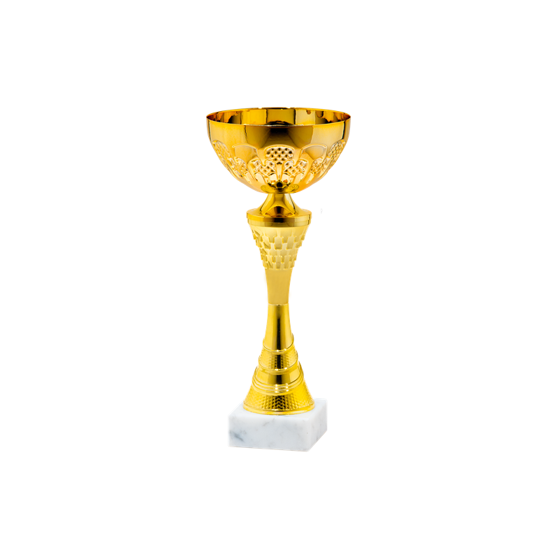 25541/B puchar 32cm /cz.120/