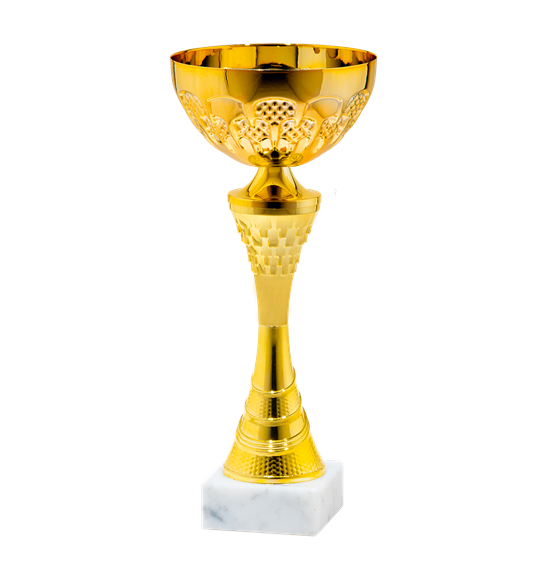 25541/B puchar 32cm /cz.120/