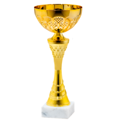 25541/D puchar 27cm /cz.100/