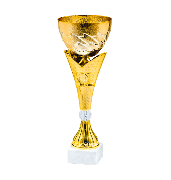 25293/C puchar 31cm /cz.100/